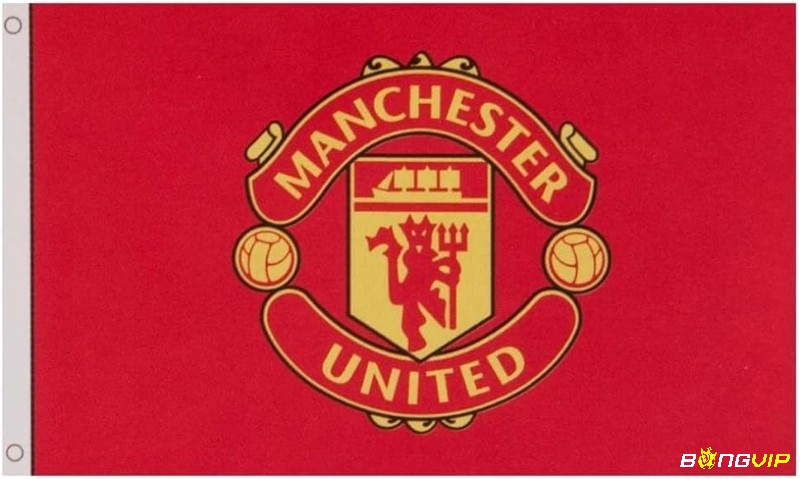 Manchester United là một đội bóng chuyên nghiệp thuộc top đầu thế giới 