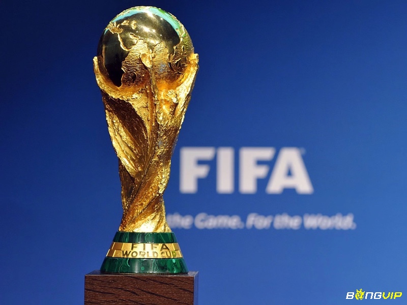 World Cup là một giải đấu bóng đá lớn nhất thế giới hiện nay